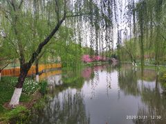 -圩墩遗址公园
