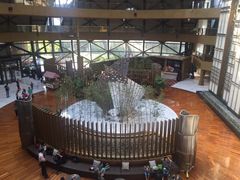 -上海滴水湖皇冠假日酒店