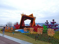 -野狸岛