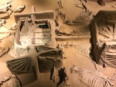 -洛阳周王城天子驾六博物馆