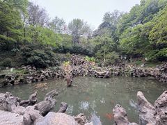 -伯先公园