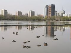 -莲花池公园
