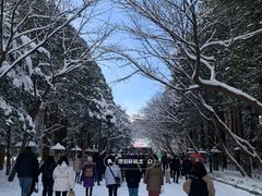 -北海道神宫