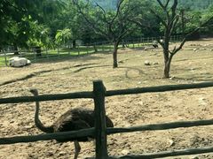 -西安秦岭野生动物园