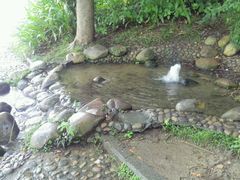 android_upload_pic-惠州西湖