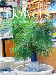 -今日陶艺(富力广场店)