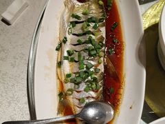 -金美华轩(东方路齐鲁店)