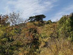 -妙峰山风景名胜区