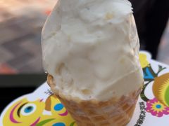 -野人先生现做冰淇淋(北京顺义祥云小镇店)