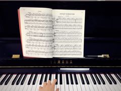 -Melody Mentor音乐私教馆(朝外·悠唐店)