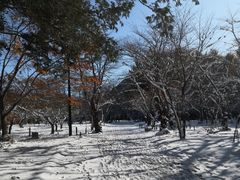 -北海道神宫