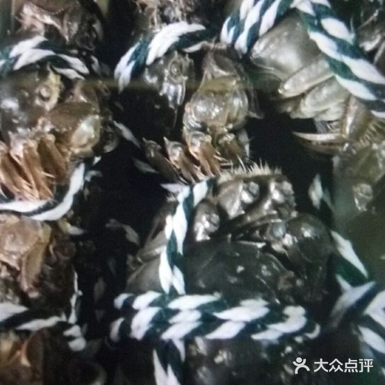 大连海参澄阳湖大闸蟹(平安里店)