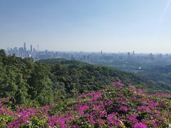 -广州市白云山风景名胜区