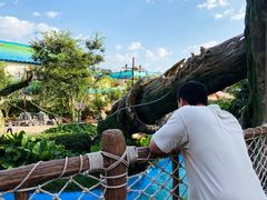 -七彩云南欢乐世界