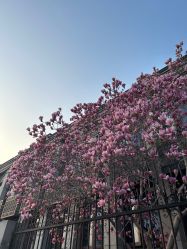 -北京大学第一医院妇产儿童医院