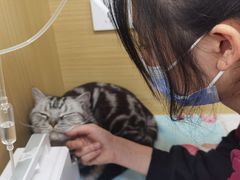 -美联众合爱康动物医院•复杂内科•肿瘤科•牙科•腔镜诊疗中心