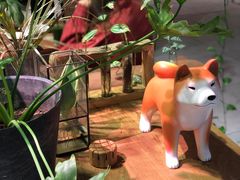 -柴务处·柴犬主题狗咖