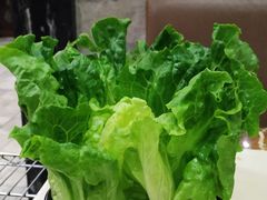 生菜-福合埕牛肉丸(福平路店)