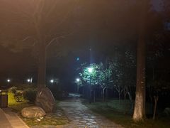 -东莞植物园