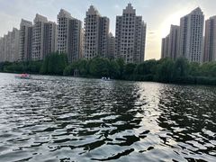 -成都南湖公园