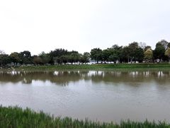 -海珠湖公园