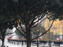 -重庆市江北嘴中央商务区中央公园