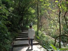 -火炉山森林公园