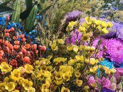 -MCJ-花店(西罗园店)