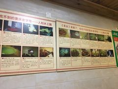 -人和水上飘(第一家店)