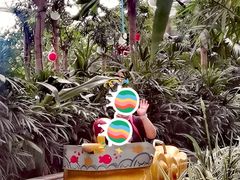 -南宫五洲植物乐园