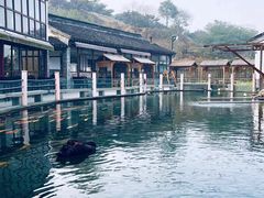 -湖鲜楼