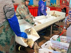 -江苏凌家塘农副产品批发市场果品区