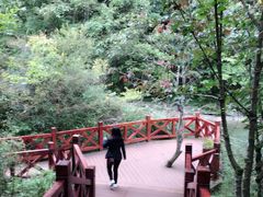 -黎坪国家森林公园