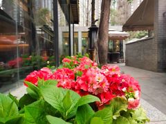 -大妙火锅·非物质文化遗产(东湖公园店)