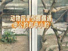 -深圳野生动物园