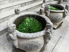 -西安乐游原