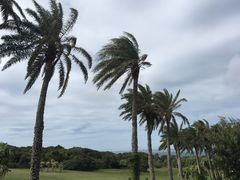 -鹅銮鼻公园