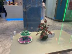 -清颜专业祛痘连锁店