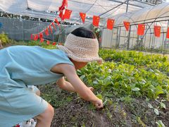 -前小桔亲子创意农场·草莓采摘·露营烧烤