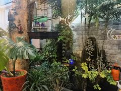 -丽江庭院之丽江往事(安定门店)
