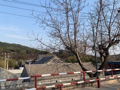 -红螺寺