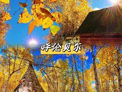 -呼伦贝尔大草原