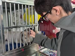 -瑞派旺宝宠物医院·犬猫全科综合·尿道专科(莲兴院)