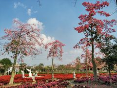-广东花都香草世界旅游度假区