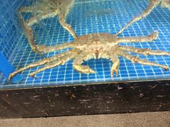 -粤西稻里(富力路店)