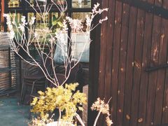 -北马山庄植趣咖啡