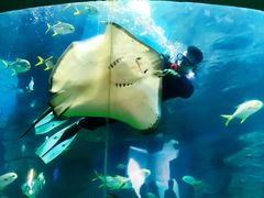 -北海·海洋之窗