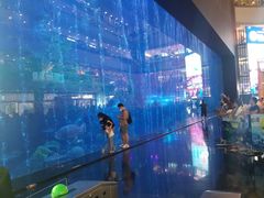 -成都浩海立方海洋公园