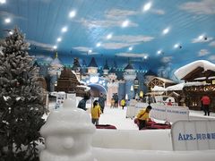 -世界之窗阿尔卑斯冰雪世界