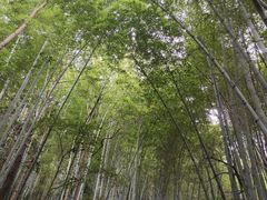 -敬亭山风景名胜区